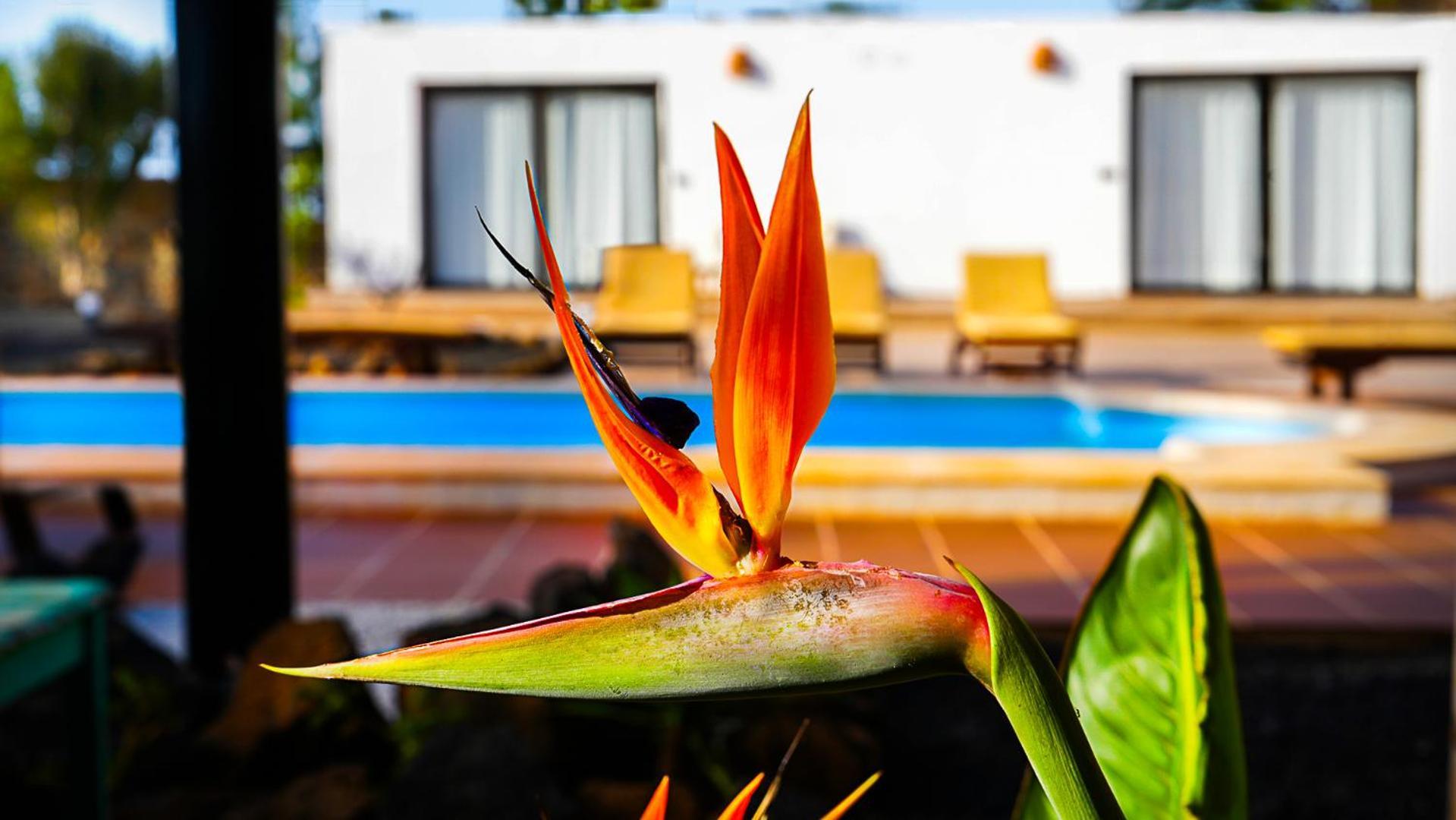 Villa Azul Fuerteventura Villaverde  Luaran gambar